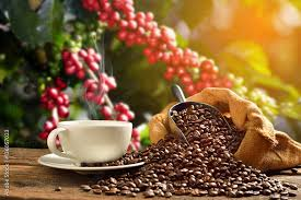 Coffee Export